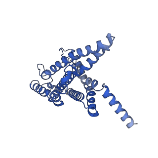 20284_6pb0_R_v1-1
Cryo-EM structure of Urocortin 1-bound Corticotropin-releasing factor 1 receptor in complex with Gs protein and Nb35