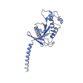 20285_6pb1_A_v1-1
Cryo-EM structure of Urocortin 1-bound Corticotropin-releasing factor 2 receptor in complex with Gs protein and Nb35