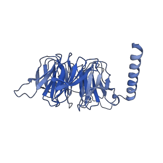 20285_6pb1_B_v1-1
Cryo-EM structure of Urocortin 1-bound Corticotropin-releasing factor 2 receptor in complex with Gs protein and Nb35
