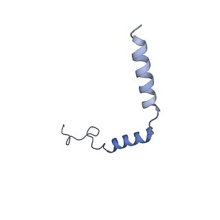 20285_6pb1_G_v1-1
Cryo-EM structure of Urocortin 1-bound Corticotropin-releasing factor 2 receptor in complex with Gs protein and Nb35