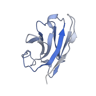 20285_6pb1_N_v1-1
Cryo-EM structure of Urocortin 1-bound Corticotropin-releasing factor 2 receptor in complex with Gs protein and Nb35