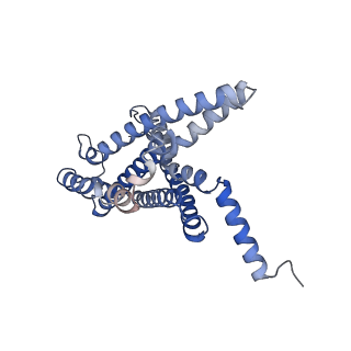 20285_6pb1_P_v1-1
Cryo-EM structure of Urocortin 1-bound Corticotropin-releasing factor 2 receptor in complex with Gs protein and Nb35