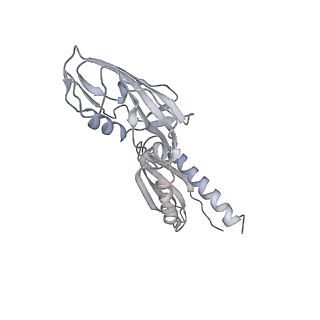 20286_6pb4_A_v1-3
The E. coli class-II CAP-dependent transcription activation complex with de novo RNA transcript at the state 2