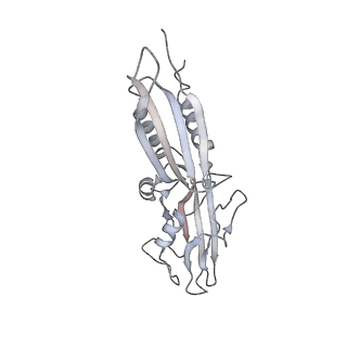 20286_6pb4_B_v1-2
The E. coli class-II CAP-dependent transcription activation complex with de novo RNA transcript at the state 2