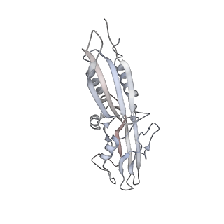 20286_6pb4_B_v1-3
The E. coli class-II CAP-dependent transcription activation complex with de novo RNA transcript at the state 2