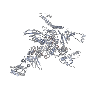 20286_6pb4_C_v1-2
The E. coli class-II CAP-dependent transcription activation complex with de novo RNA transcript at the state 2
