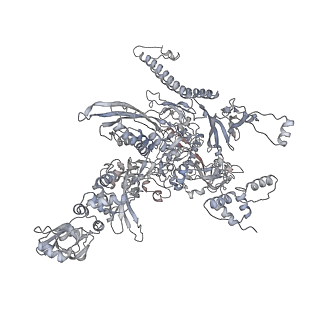 20286_6pb4_C_v1-3
The E. coli class-II CAP-dependent transcription activation complex with de novo RNA transcript at the state 2