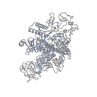 20286_6pb4_D_v1-2
The E. coli class-II CAP-dependent transcription activation complex with de novo RNA transcript at the state 2