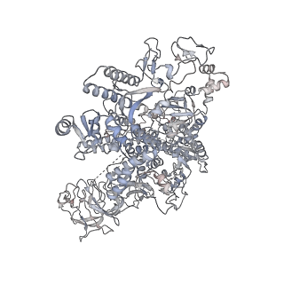 20286_6pb4_D_v1-3
The E. coli class-II CAP-dependent transcription activation complex with de novo RNA transcript at the state 2