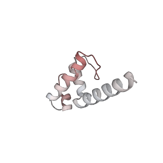 20286_6pb4_E_v1-3
The E. coli class-II CAP-dependent transcription activation complex with de novo RNA transcript at the state 2