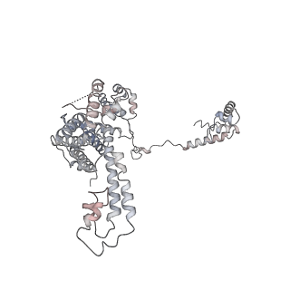 20286_6pb4_F_v1-2
The E. coli class-II CAP-dependent transcription activation complex with de novo RNA transcript at the state 2