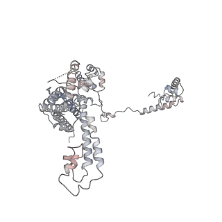 20286_6pb4_F_v1-3
The E. coli class-II CAP-dependent transcription activation complex with de novo RNA transcript at the state 2