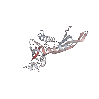 20287_6pb5_B_v1-3
The E. coli class-II CAP-dependent transcription activation complex at the state 1 architecture