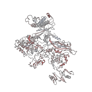 20287_6pb5_C_v1-2
The E. coli class-II CAP-dependent transcription activation complex at the state 1 architecture