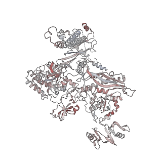 20287_6pb5_C_v1-3
The E. coli class-II CAP-dependent transcription activation complex at the state 1 architecture