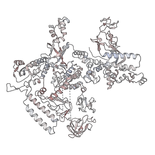 20287_6pb5_D_v1-2
The E. coli class-II CAP-dependent transcription activation complex at the state 1 architecture