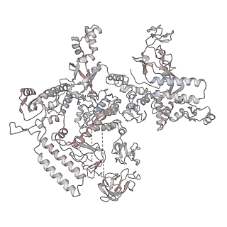 20287_6pb5_D_v1-3
The E. coli class-II CAP-dependent transcription activation complex at the state 1 architecture