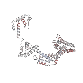 20287_6pb5_F_v1-2
The E. coli class-II CAP-dependent transcription activation complex at the state 1 architecture
