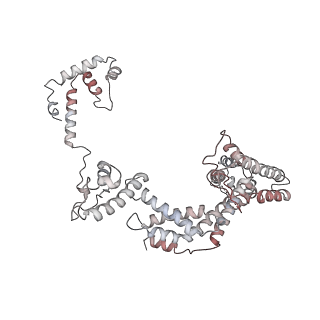 20287_6pb5_F_v1-3
The E. coli class-II CAP-dependent transcription activation complex at the state 1 architecture