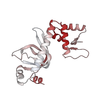 20287_6pb5_G_v1-2
The E. coli class-II CAP-dependent transcription activation complex at the state 1 architecture