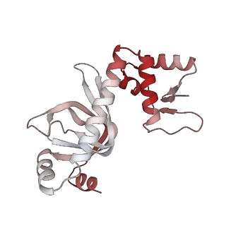 20287_6pb5_G_v1-3
The E. coli class-II CAP-dependent transcription activation complex at the state 1 architecture