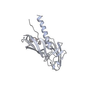 20288_6pb6_A_v1-3
The E. coli class-II CAP-dependent transcription activation complex at the state 2