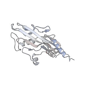 20288_6pb6_B_v1-3
The E. coli class-II CAP-dependent transcription activation complex at the state 2