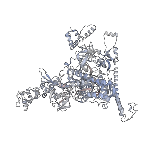 20288_6pb6_C_v1-3
The E. coli class-II CAP-dependent transcription activation complex at the state 2