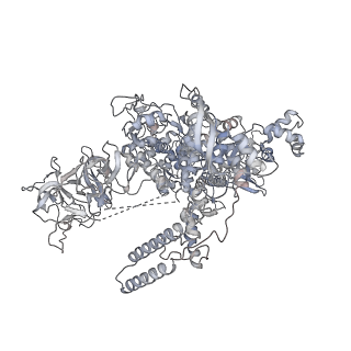 20288_6pb6_D_v1-3
The E. coli class-II CAP-dependent transcription activation complex at the state 2