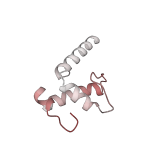 20288_6pb6_E_v1-3
The E. coli class-II CAP-dependent transcription activation complex at the state 2