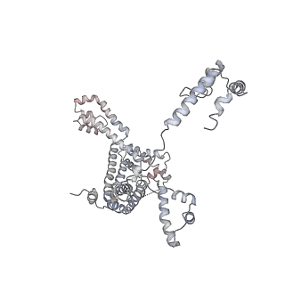 20288_6pb6_F_v1-3
The E. coli class-II CAP-dependent transcription activation complex at the state 2