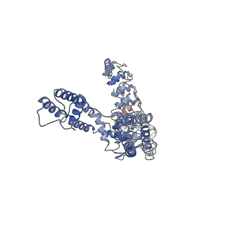 20292_6pbf_A_v1-2
ZINC9155420-bound TRPV5 in nanodiscs