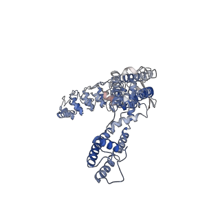 20292_6pbf_B_v1-2
ZINC9155420-bound TRPV5 in nanodiscs