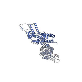 20294_6pbx_A_v1-2
Single particle cryo-EM structure of the voltage-gated K+ channel Eag1 3-13 deletion mutant bound to calmodulin (conformation 2)
