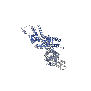 20294_6pbx_A_v1-3
Single particle cryo-EM structure of the voltage-gated K+ channel Eag1 3-13 deletion mutant bound to calmodulin (conformation 2)