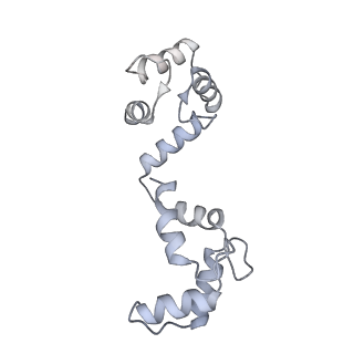 20294_6pbx_B_v1-2
Single particle cryo-EM structure of the voltage-gated K+ channel Eag1 3-13 deletion mutant bound to calmodulin (conformation 2)