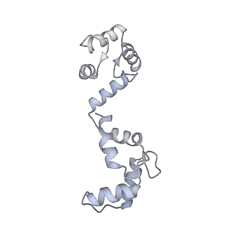 20294_6pbx_B_v1-3
Single particle cryo-EM structure of the voltage-gated K+ channel Eag1 3-13 deletion mutant bound to calmodulin (conformation 2)