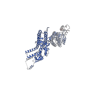 20294_6pbx_C_v1-2
Single particle cryo-EM structure of the voltage-gated K+ channel Eag1 3-13 deletion mutant bound to calmodulin (conformation 2)