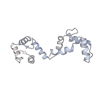 20294_6pbx_D_v1-2
Single particle cryo-EM structure of the voltage-gated K+ channel Eag1 3-13 deletion mutant bound to calmodulin (conformation 2)