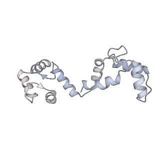 20294_6pbx_D_v1-3
Single particle cryo-EM structure of the voltage-gated K+ channel Eag1 3-13 deletion mutant bound to calmodulin (conformation 2)