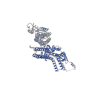 20294_6pbx_E_v1-2
Single particle cryo-EM structure of the voltage-gated K+ channel Eag1 3-13 deletion mutant bound to calmodulin (conformation 2)