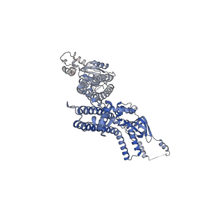 20294_6pbx_E_v1-3
Single particle cryo-EM structure of the voltage-gated K+ channel Eag1 3-13 deletion mutant bound to calmodulin (conformation 2)