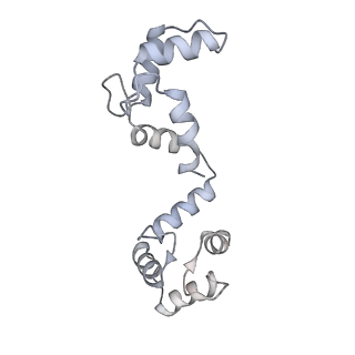 20294_6pbx_F_v1-2
Single particle cryo-EM structure of the voltage-gated K+ channel Eag1 3-13 deletion mutant bound to calmodulin (conformation 2)