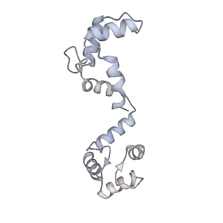 20294_6pbx_F_v1-3
Single particle cryo-EM structure of the voltage-gated K+ channel Eag1 3-13 deletion mutant bound to calmodulin (conformation 2)