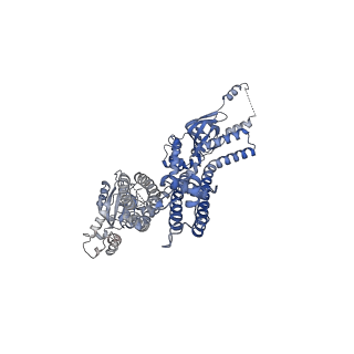 20294_6pbx_G_v1-2
Single particle cryo-EM structure of the voltage-gated K+ channel Eag1 3-13 deletion mutant bound to calmodulin (conformation 2)