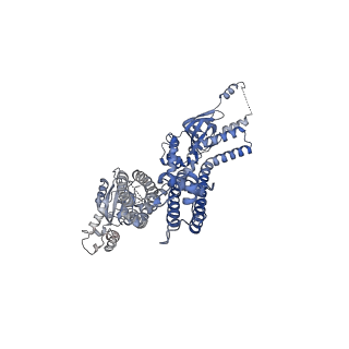 20294_6pbx_G_v1-3
Single particle cryo-EM structure of the voltage-gated K+ channel Eag1 3-13 deletion mutant bound to calmodulin (conformation 2)