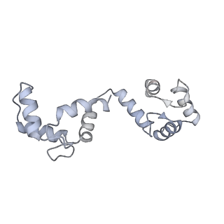 20294_6pbx_H_v1-2
Single particle cryo-EM structure of the voltage-gated K+ channel Eag1 3-13 deletion mutant bound to calmodulin (conformation 2)