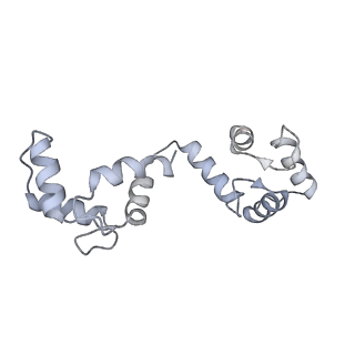 20294_6pbx_H_v1-3
Single particle cryo-EM structure of the voltage-gated K+ channel Eag1 3-13 deletion mutant bound to calmodulin (conformation 2)