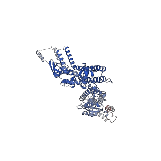 20295_6pby_A_v1-2
Single particle cryo-EM structure of the voltage-gated K+ channel Eag1 3-13 deletion mutant bound to calmodulin (conformation 1)