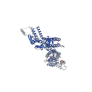 20295_6pby_A_v1-3
Single particle cryo-EM structure of the voltage-gated K+ channel Eag1 3-13 deletion mutant bound to calmodulin (conformation 1)